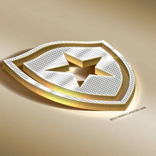 Botafogo de Futebol e Regatas