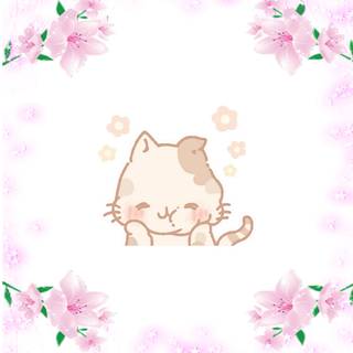 cutest cat in the world!~ credit me I make all my wallpapers