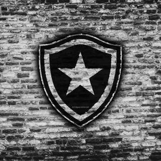 Botafogo de Futebol e Regatas