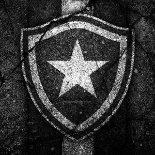 Botafogo de Futebol e Regatas