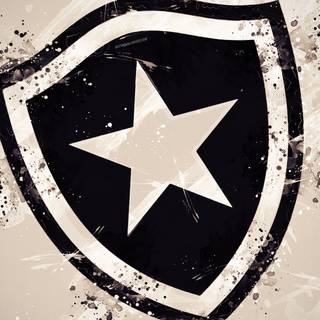 Botafogo de Futebol e Regatas