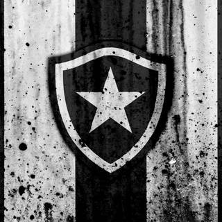 Botafogo de Futebol e Regatas