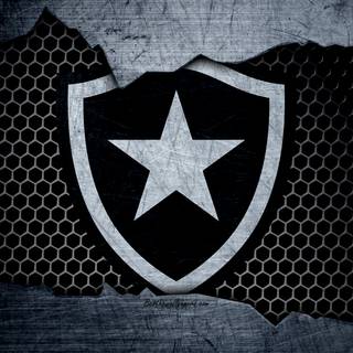 Botafogo de Futebol e Regatas