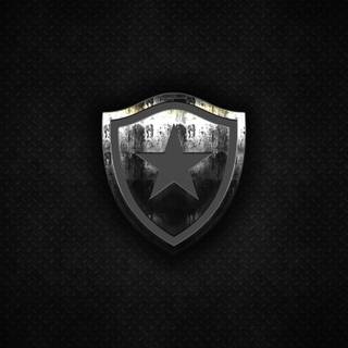 Botafogo de Futebol e Regatas