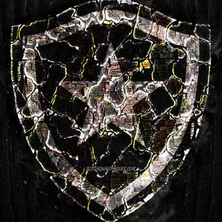 Botafogo de Futebol e Regatas