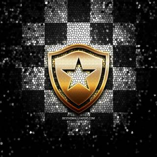 Botafogo de Futebol e Regatas