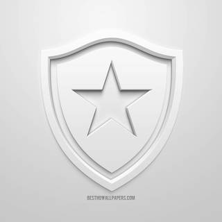 Botafogo de Futebol e Regatas