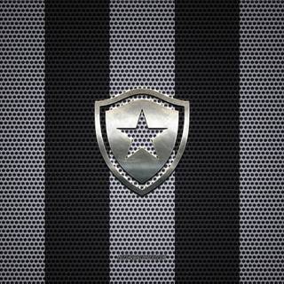 Botafogo de Futebol e Regatas