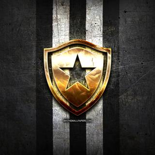 Botafogo de Futebol e Regatas