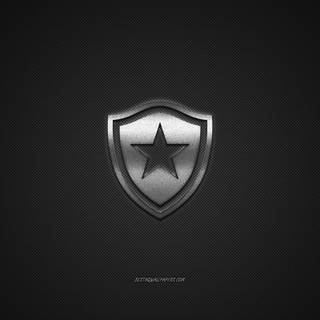 Botafogo de Futebol e Regatas