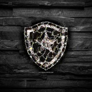 Botafogo de Futebol e Regatas