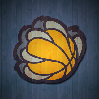 Memphis Grizzlies