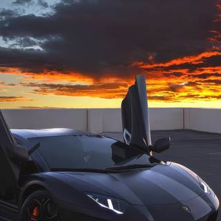 Black  Lamborghini