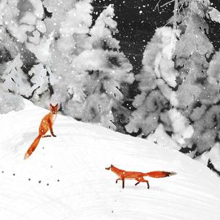 Christmas Winter Snow Foxes 