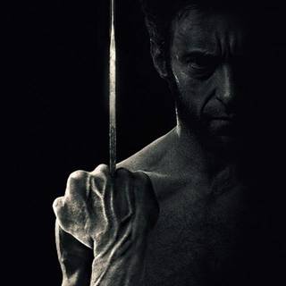 Wolverine 2