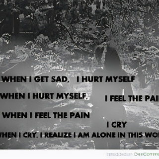 the one wallpaper that describes me