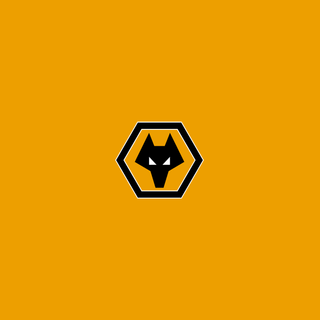 Wolverhampton Wanderers F.C.