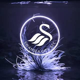 Swansea City A.F.C.