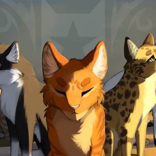 Warrior Cats