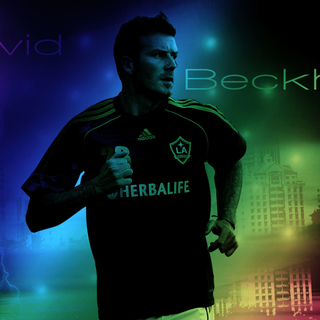 David Beckham