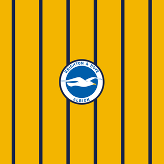 Brighton & Hove Albion F.C.