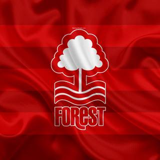 Nottingham Forest F.C.