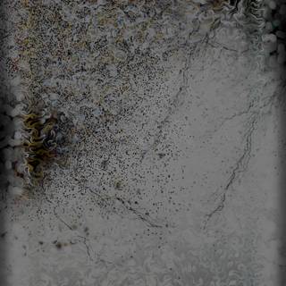 Samsung S24 Ultra Wallpaper Fusion No.480 A Lockscreen