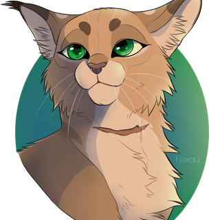 Warrior Cats
