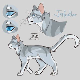Warrior Cats