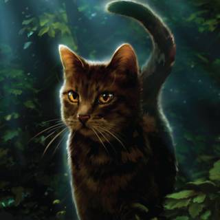 Warrior Cats