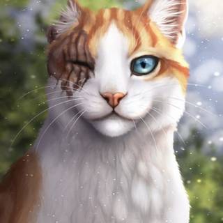Warrior Cats