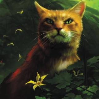 Warrior Cats