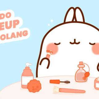 would you do makeup with molang 