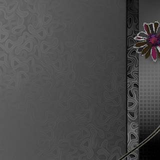 WQHD Wallpaper Hard Flower E