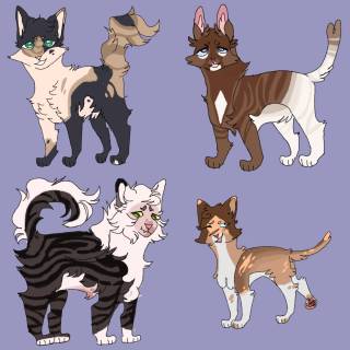 Warrior Cats