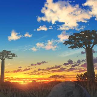 Setting sun Grassland