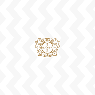 Bayer 04 Leverkusen