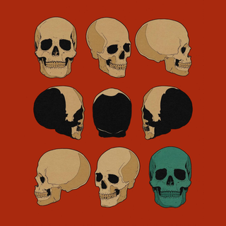 Skull Collage 