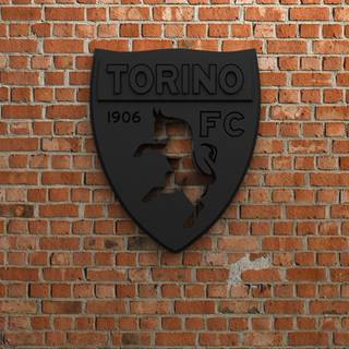 Torino FC