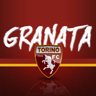 Torino FC