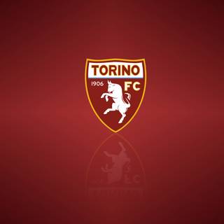 Torino FC