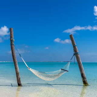 Beach hammock 