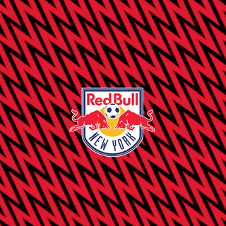 New York Red Bulls