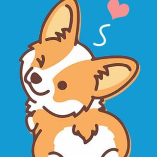i like corgis