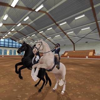 star stable dressage