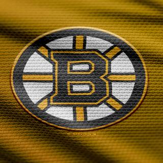 Boston Bruins