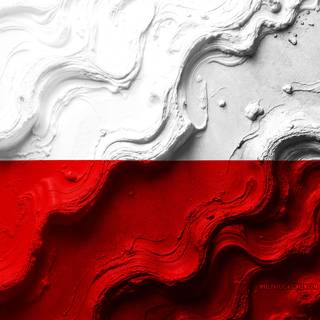 Flag Of Poland