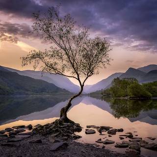 4k Nature Wallpaper