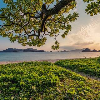 4k Nature Wallpaper