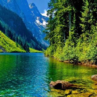 4k Nature Wallpaper